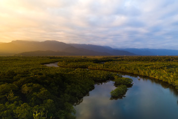 Fototapeta na wymiar Amazon Rainforest in Brazil