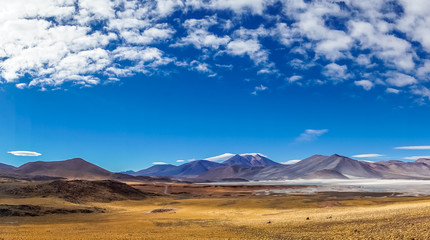 Fototapeta na wymiar View on Altiplano Lagoon Salar de Talar in Chile by San Pedro de Atacama