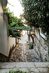 stone stairs with trees, narrow street view