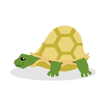 Turtle flat vector illustration