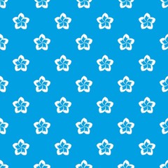 Fototapeta na wymiar Frangipani flower pattern seamless blue