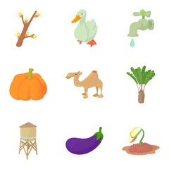 Drought icons set, cartoon style