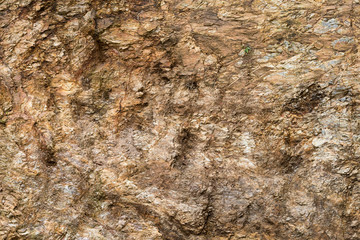 Rugged brown rocky surface.