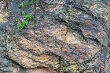 Rugged brown rocky surface.