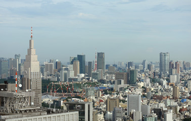 Obraz na płótnie Canvas 日本の東京都市景観（港区などの街並みを望む）