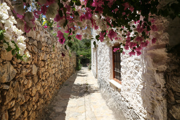 Fototapeta premium Street in Old Datca, Mugla, Turkey