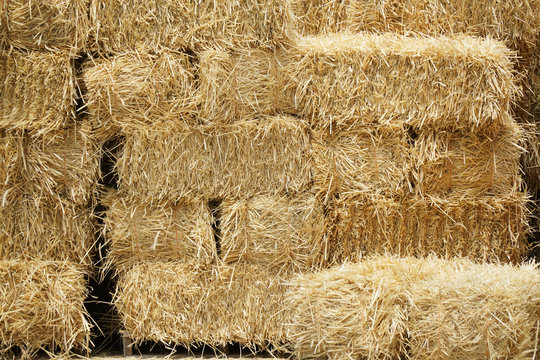 bale of hay stacking inside shed of farm