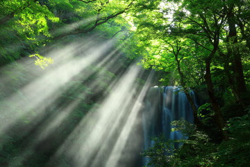 Obraz premium 夏の亀田不動滝