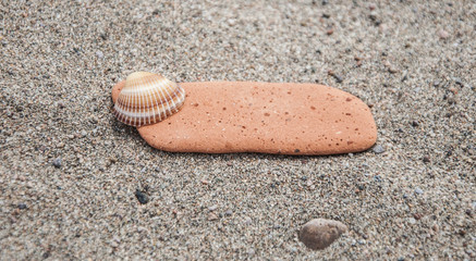 blank stone lying on a sandy beach
