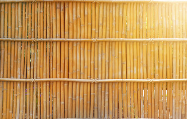 bamboo