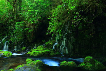 夏の元滝伏流水