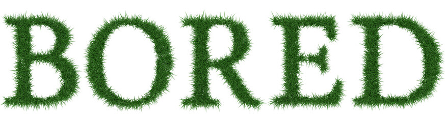 Bored - 3D rendering fresh Grass letters isolated on whhite background.