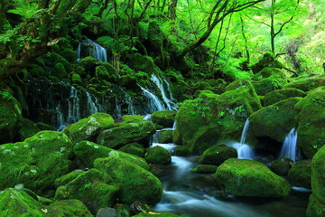 夏の元滝伏流水