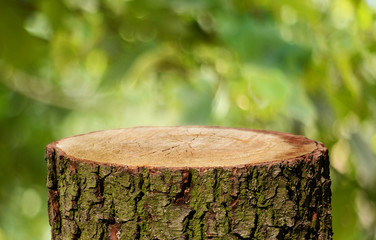 Naklejka premium Tree trunk background