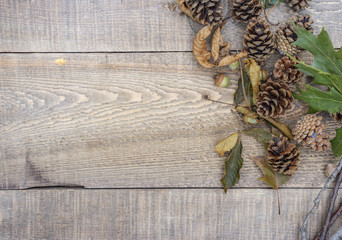 Autumn background and border of rustic wood with acorns, sticks, twigs leaves and pinecones