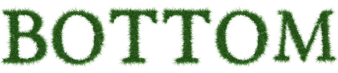 Bottom - 3D rendering fresh Grass letters isolated on whhite background.