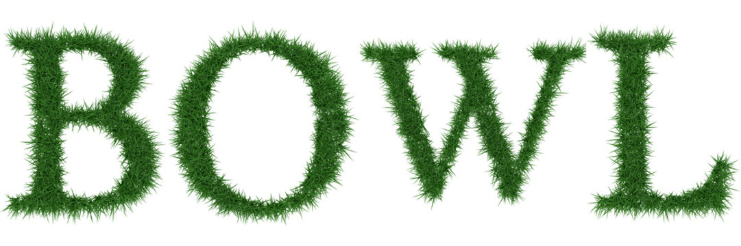 Bowl - 3D rendering fresh Grass letters isolated on whhite background.