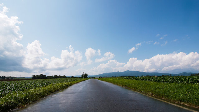 北海道風景　青空と一本道