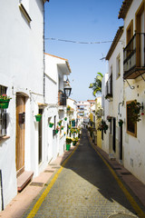 Spaniens Gasse mit grünen Blumtöpfen