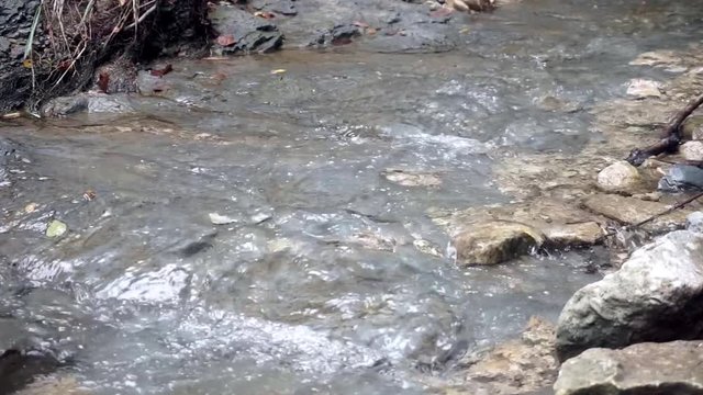 Running Creek Water, Version B