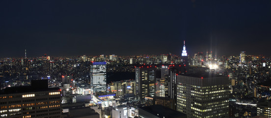 Naklejka premium 日本の東京都市景観・夜景「墨田区や千代田区、渋谷区、新宿区方面の街並みを望む）