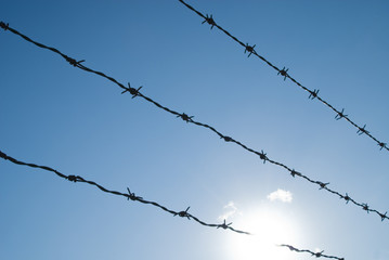 有刺鉄線　逆光　