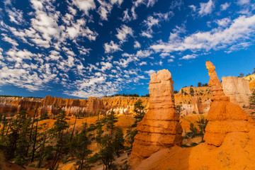 Fototapeta na wymiar Landscape in Bryce Canyon, with red sandstone columns and beautiful, bright, sky, in autumn