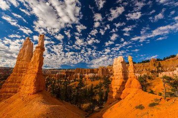 Landscape in Bryce Canyon, with red sandstone columns and beautiful, bright, sky, in autumn