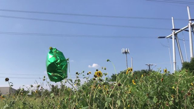 Balloon Dancing Alone in a Field 