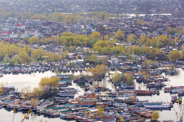 SRINAGAR, INDIA - April 15 2016: Lifestyle in Dal lake, man drive the boat in middle of the Dal lake and mountain background