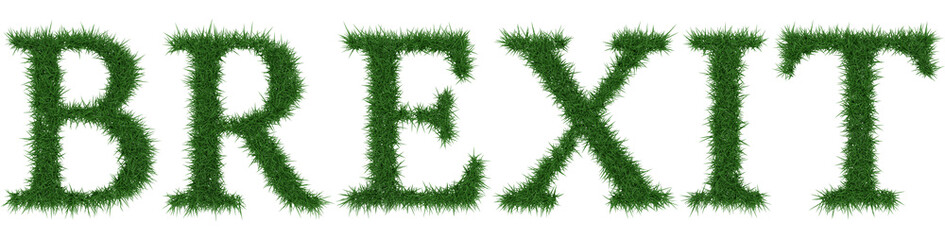 Brexit - 3D rendering fresh Grass letters isolated on whhite background.