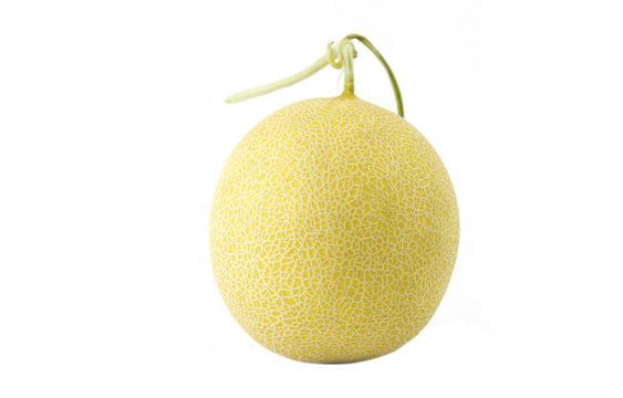 Galia melon fruit isolated on white