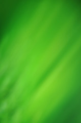 Retro green stripes lines background in grunge style graphic design of a banner texture poster