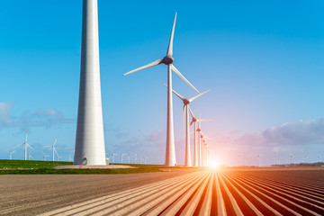 Fototapeta premium Sunset above windmills on the field