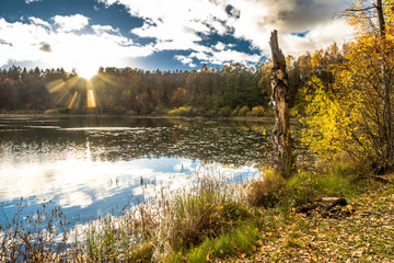 Scenery in autumn nature over lake, fall scenic landscape at sunset over forest