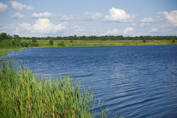 Спокойная река в летний день.