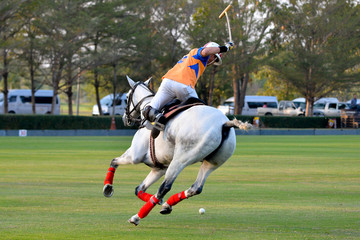 The back image of a horse polo player riding on to hit a ball.