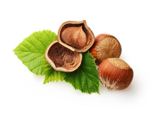 Forest nuts hazelnuts isolated