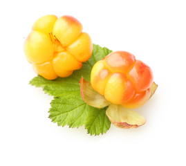 Cloudberry Berry isolated