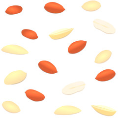 Vector seamless background peanut nut. A pattern of shelled peanuts nuts in shell and shelled. Tasty Image on white background nuts for printing on packaging, advertising of healthy foods