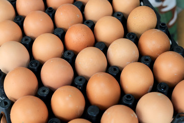 Group of fresh eggs on egg black panel package from a chicken farm in the package retained to sell for cooking at the market.
