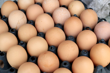 Group of fresh eggs on egg black panel package from a chicken farm in the package retained to sell for cooking at the market.