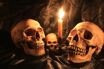 Two old skulls with cobweb on wooden table with black background in night time / Still life style...