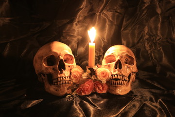 human skull and pile of withered dry flowers and candle light on black fabric texture on dark background in night time / Still life image and Selective focus