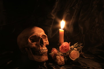 human skull and pile of withered dry flowers and candle light on black fabric texture on dark...