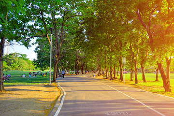 People do exercise at park on sunset time.  