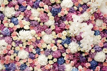 Lots of hydrangeas, roses and pinks make a colorful wall