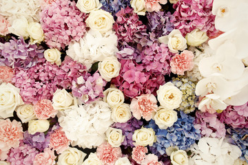 Close-up of white roses and hydrangeas put in a wall of flowers