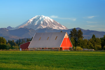 Red barn and Mt Rainier