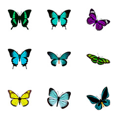 Fototapeta na wymiar Realistic Lexias, Papilio Ulysses, Beauty Fly And Other Vector Elements. Set Of Butterfly Realistic Symbols Also Includes Purple, Hairstreak, Blue Objects.